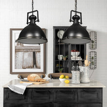 Load image into Gallery viewer, Bashaw Black Light