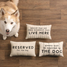 Load image into Gallery viewer, Pet Striped Pillows