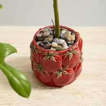 Load image into Gallery viewer, Tomato Planter Pot
