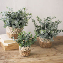 Load image into Gallery viewer, Eucalyptus in Woven Pot