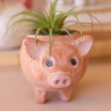 Load image into Gallery viewer, Farm Animal Planter