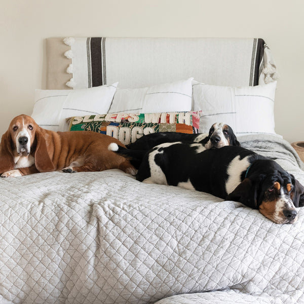 Sleeps w/ Dogs Pillow